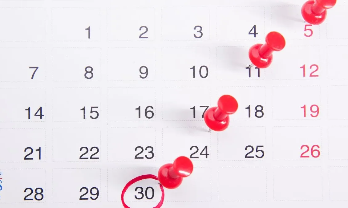 Bonus Famiglie Dicembre 2025: Ecco tutti i Bonus da 155 euro, 480 euro, 500 euro, 655 euro